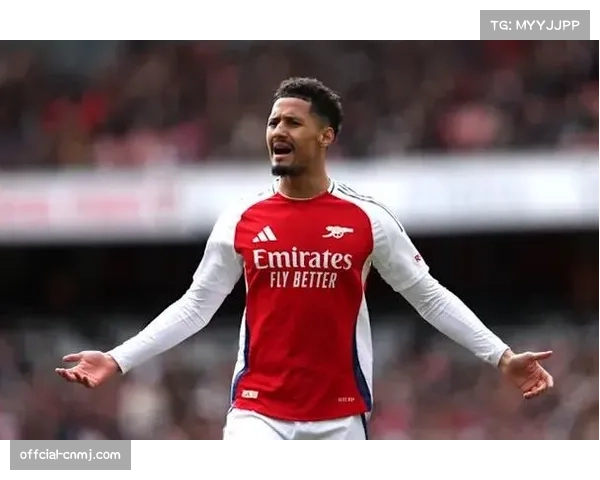 专栏作家评点:萨利巴的成长是阿森纳本赛季防守稳固的基石 专栏作家评点:萨利巴的成长是阿森纳本赛季防守稳固的基石